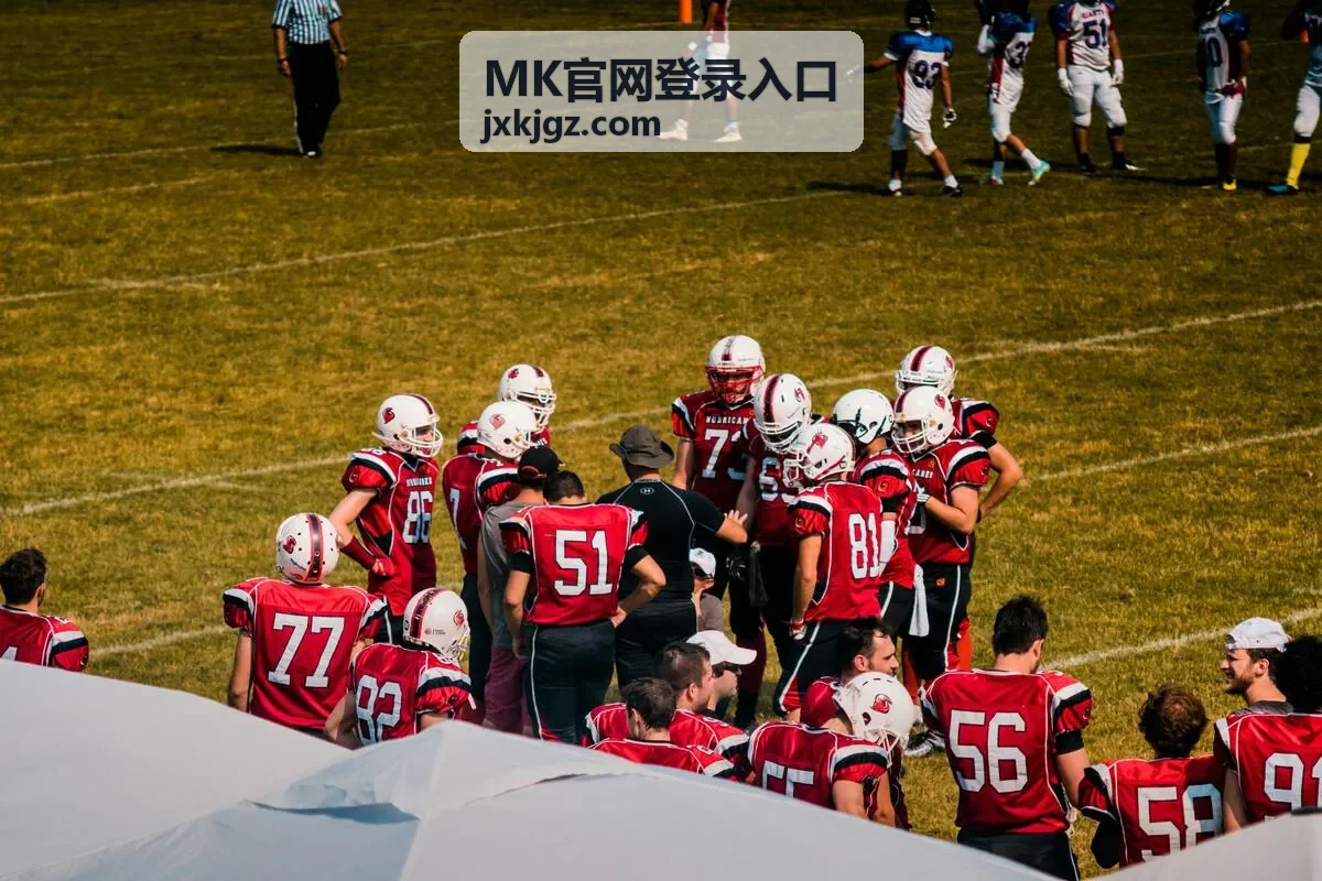 MK金融行业案例